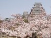 姫路城=「白鷺城」の読み方は? 地元小学校の校歌でチェック!