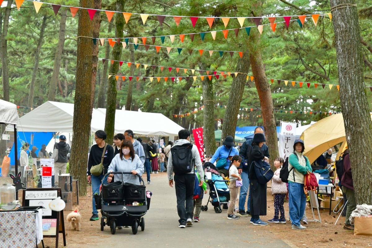 昨年の様子（提供＝国営ひたち海浜公園）