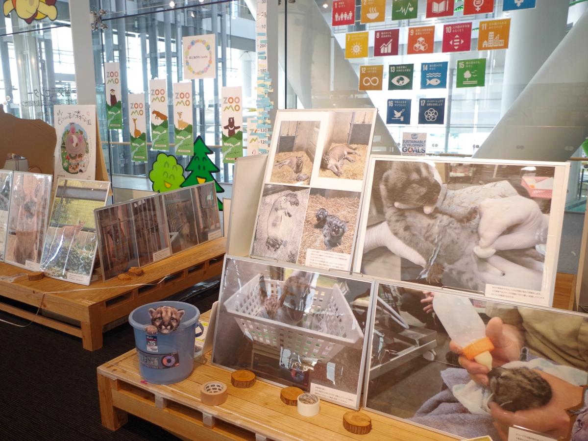 貴重な写真も並ぶ展示コーナー。バケツに入った体重測定中の赤ちゃんの写真パネルも