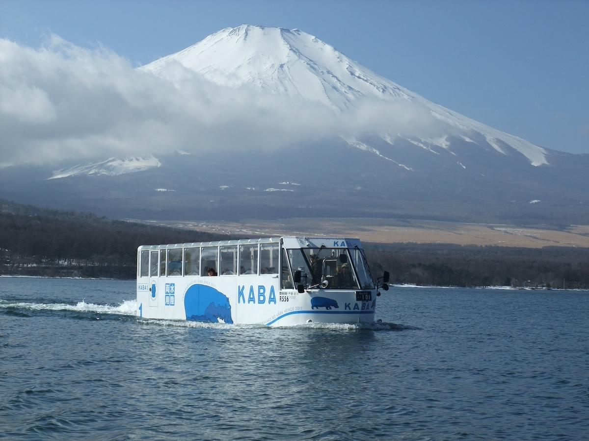 「YAMANAKAKO NO KABA（山中湖のカバ）」（写真提供＝富士急行）