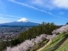 富士山経済新聞・上半期1位は「山梨県富士吉田市への移住カップル募集」