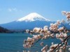 河口湖でクラブミュージック・ダンスイベント テラスでの花見も