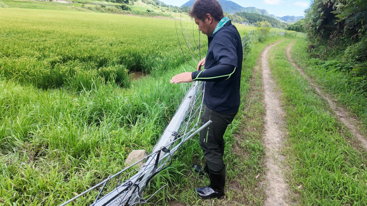 イノシシに破られた柵を補修