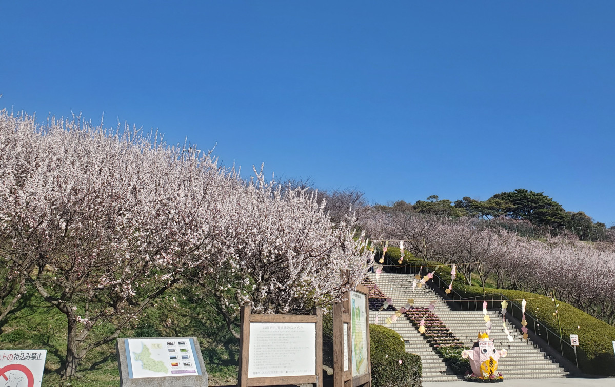 あんずの里運動公園（写真提供＝福津市）