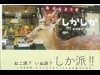 鹿写真集「しかしか」 海外で話題に