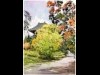 奈良でスケッチ展 四季折々の東大寺かいわい、ぶらりと散歩に出掛けた日常描く