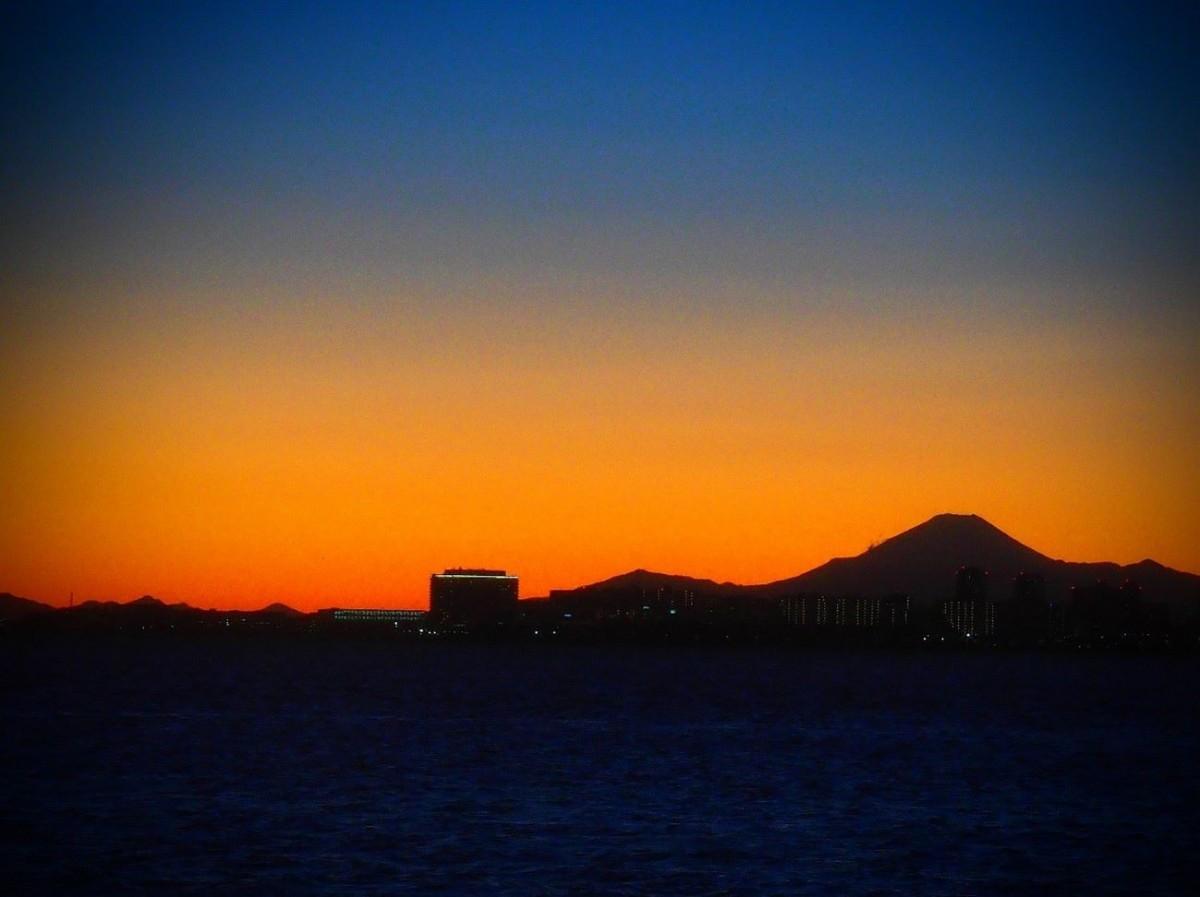 どのように機能するのでしょうか?