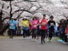 「練馬こぶしハーフマラソン」開催迫る 5000人参加へ
