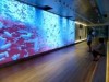 日本橋、武田本社ビルに大画面シアター 健康テーマの映像作品を一般公開