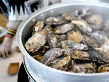 新発田市役所で「しばたカキびらき」 赤穂直送のカキ料理が一堂に