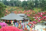 会場となる塩船観音寺