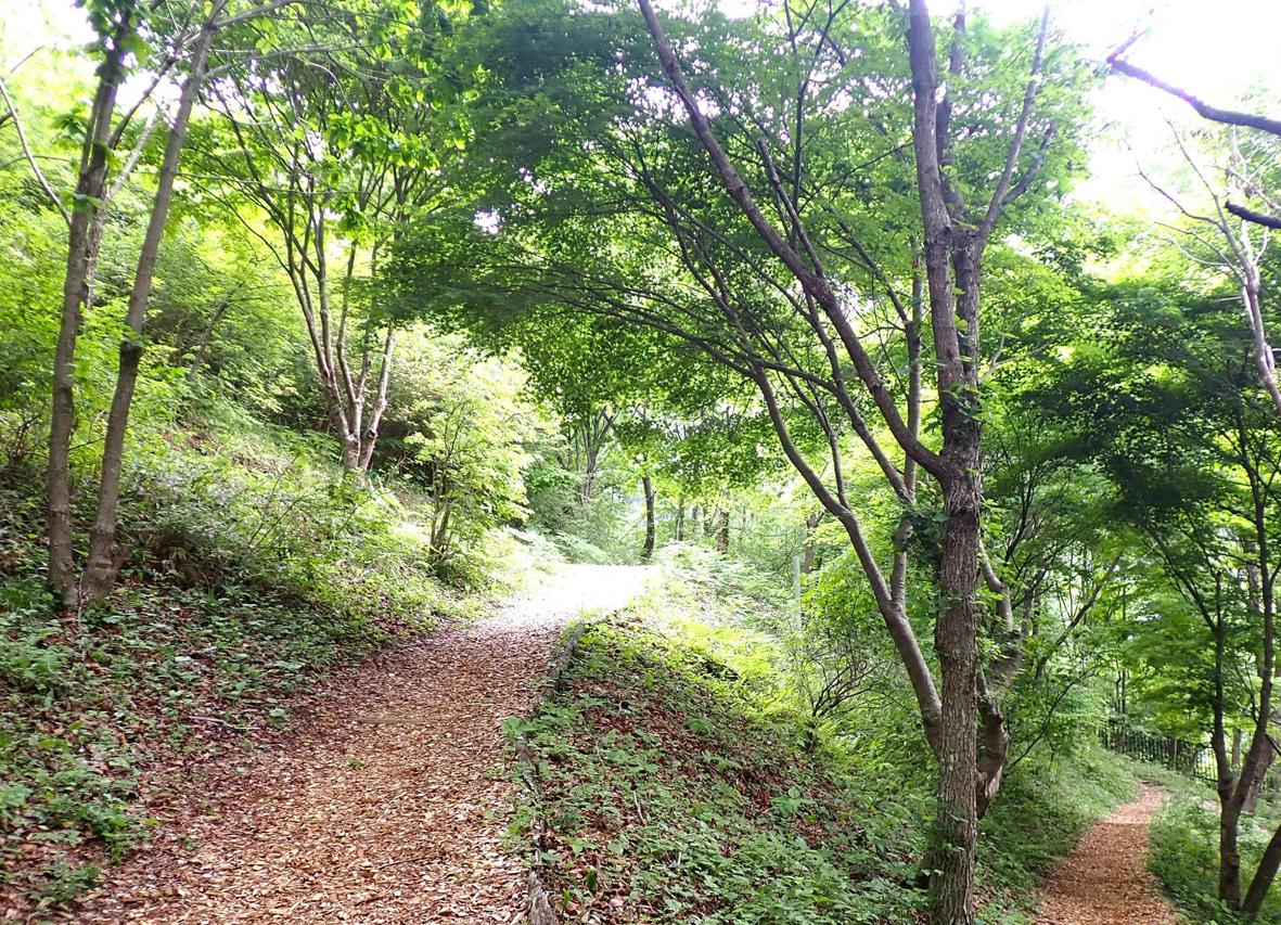 奥多摩登山ライフを安全で楽しいものに(写真提供=奥多摩ビジターセンター)