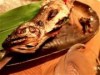 御岳・奥多摩で自然と旬の料理を楽しむツアー 「川と森の案内人」がガイド