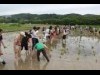 青梅の小曾木エリアで田植え体験会 昨年は150人の家族が参加