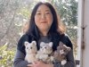 岡山で「編みぐるみ」展 作家が主催、羊毛の動物だるまワークショップも