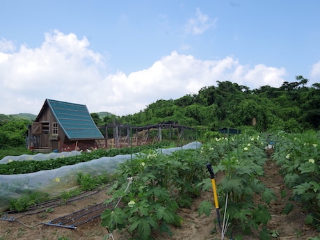 湾を見下ろす高台に広がる「Müller's Farm」(ムラーズファーム)
