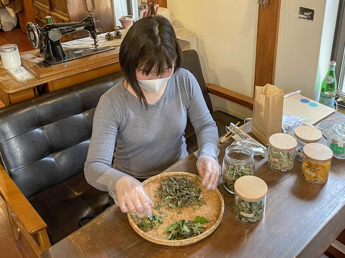 干し上げたフクギの葉を手作業でより分けるスタッフの今田万喜さん。今田さんは、海士町の就労型移住制度「大人の島留学」を利用して1年間の予定で働く