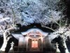 隠岐・西ノ島で夜神楽公演、満開の桜ライトアップも