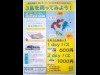 隠岐・島前3島を巡る内航船、乗り放題フリーパス発売