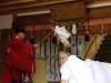 隠岐・知夫村で「皆一おどり」 一宮神社へ奉納