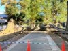 氷川参道のさいたま市指定天然記念物の欅(けやき)が倒木 台風19号の影響で