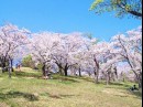 「たからの原石とは〜変わらない事の大切さに目を向けてみよう〜」
知られざる小樽の魅力[前編]
企画・制作：小樽青年会議所　編集：小樽経済新聞