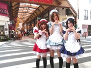 大須をメードと散歩できる「めいさんぽ」、開始1カ月で出足好調