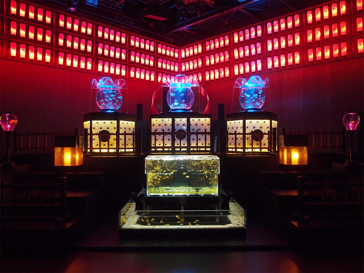 玉手箱モチーフの作品や金魚鉢状の大型水槽作品やあんどん型の水槽作品で構成する空間