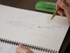 三宿で大人対象のドローイング教室 イラストレーターがプロの技法教える
