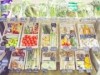 三軒茶屋の八百屋が6周年 野菜の100円均一販売も