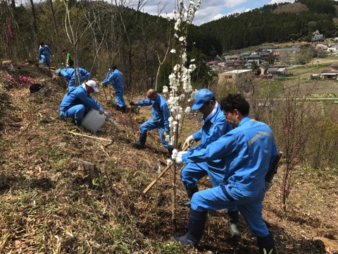 南三陸「花見山」で植樹会 花の絶えない景観づくりに一役