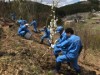 南三陸「花見山」で植樹会 花の絶えない景観づくりに一役