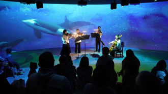 札幌の都市型水族館が開業3周年　ナイトプログラムや浴衣企画用意