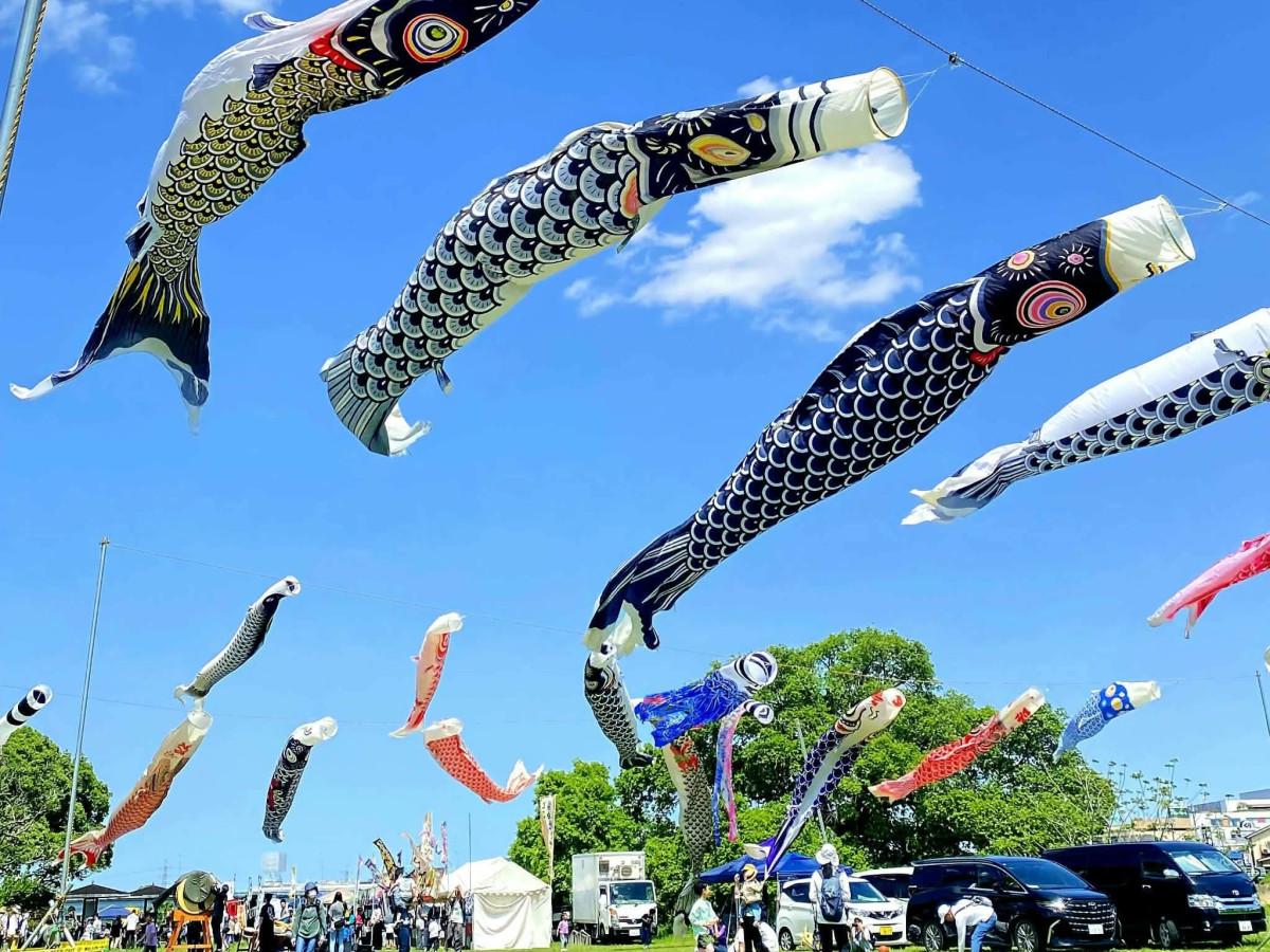 青空に色とりどりのこいのぼりが映える（過去開催時）