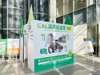 宮城県選挙管理委員会が にゃん議員総選挙 参院選に向け若者の投票啓発へ 仙台経済新聞 宮城県選挙管理委員会が にゃん議員総選挙 参院選に向け若者の投票啓発へ 仙台経済新聞