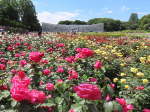 【渋谷区】新型コロナウイルス関連情報／渋谷区、11日に予定していた「令和3年新成人を祝う会」は中止に（1月8日11時38分更新）