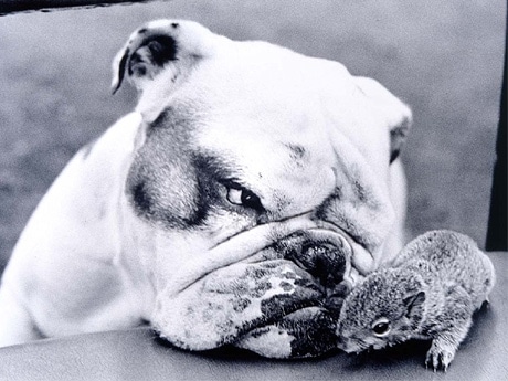 写真＝&copy;Voller Ernst