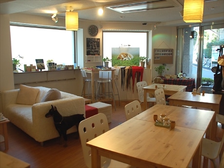 代官山にオープンしたドッグ＆キャットカフェ（写真＝店内）。ペットフードメーカーが商品開発のリサーチを目的にオープンした