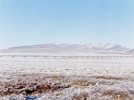 アラスカの地を走る「パイプライン」を捉えた作品。スパイラルで石塚元太良さんの個展 &copy; Gentaro Ishizuka