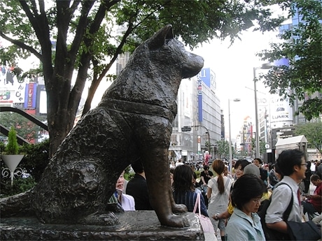 渋谷駅前のハチ公像。渋谷駅の前で没後の主人を待ち続けていたエピソードから銅像が建てられた