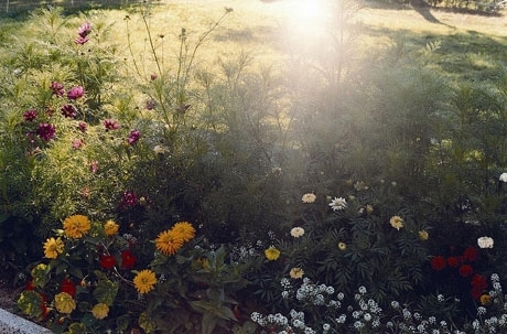 &copy; Yurie Nagashima