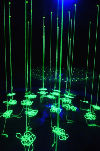 大西康明「restriction sight TOM」 2007
第10回岡本太郎記念現代芸術賞展 岡本太郎賞受賞作品