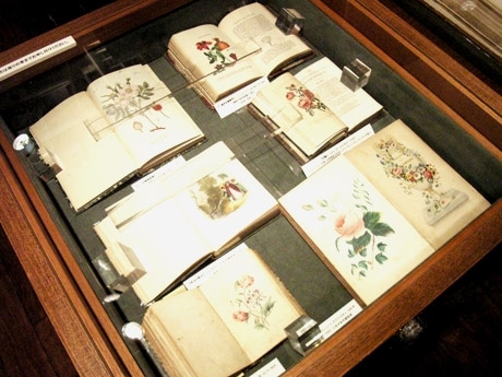 会場展示風景。保存状態のいい希少アンティーク本は一部を除き販売も行う