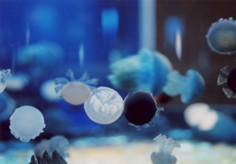 &copy;TOKIKO SUZUKI