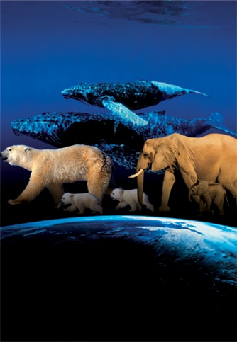 DVD「アース」より　&copy;BBC Worldwide 2007
