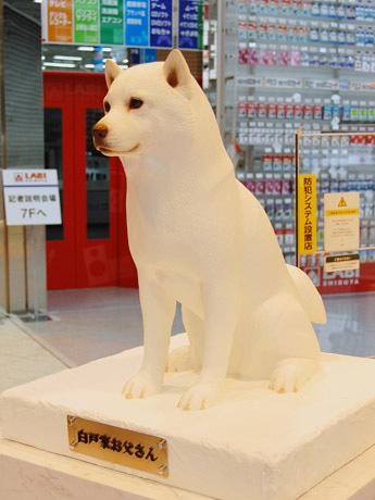 ヤマダ電機が明日オープンする「LABI渋谷」店頭に、ハチ公像ならぬ「ソフトバンクお父さん犬」像が登場。ネームプレートには「白戸家のお父さん」