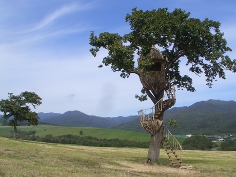 2006年、北海道の牧場でCM撮影用に制作されたツリーハウス