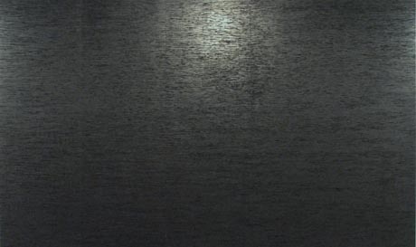個展では、巨大な和紙に鉛筆と墨で描く繊細な作品を披露（写真＝「noctune」2007年）