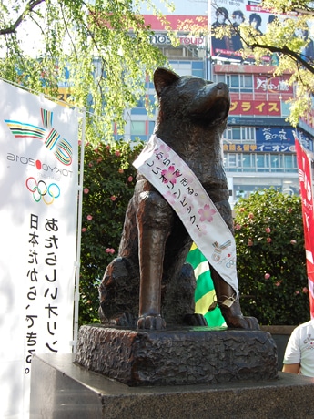 春らしい桜柄をあしらった招致たすきを掛けたハチ公像