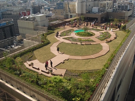 総面積約2,100平方メートルの広さを誇る屋上庭園。庭園内にはハーブなどを育てられる貸し菜園も